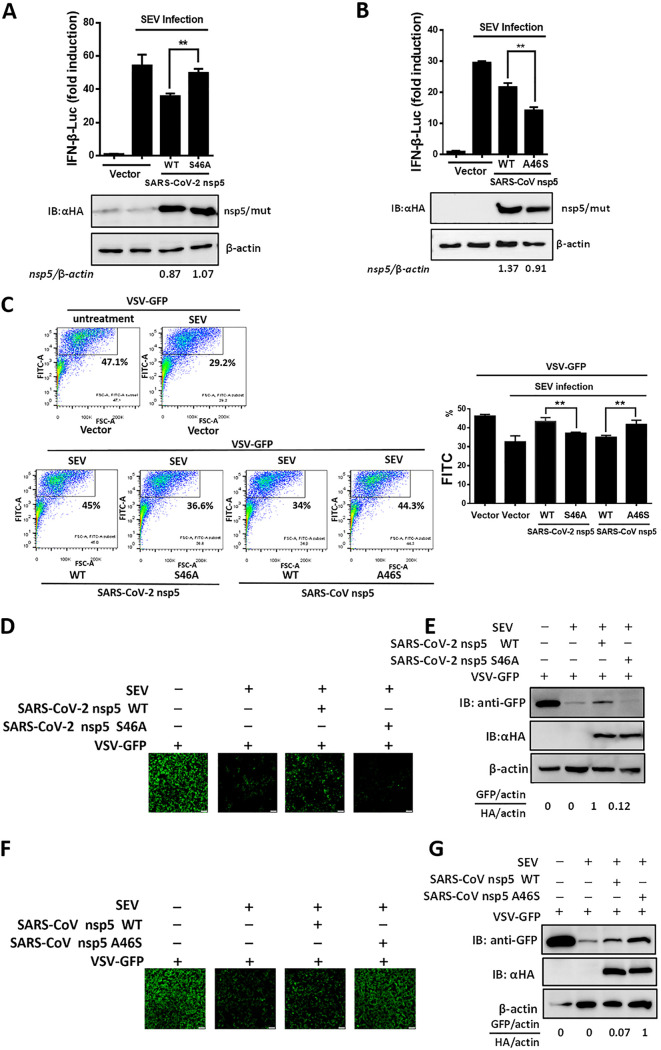 FIG 6