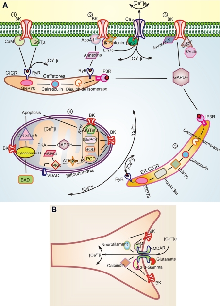 Fig. 8.