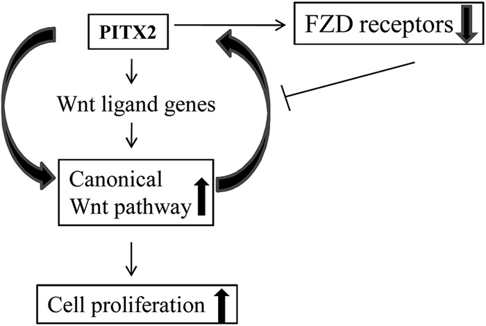 FIGURE 9.