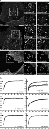 Fig 10