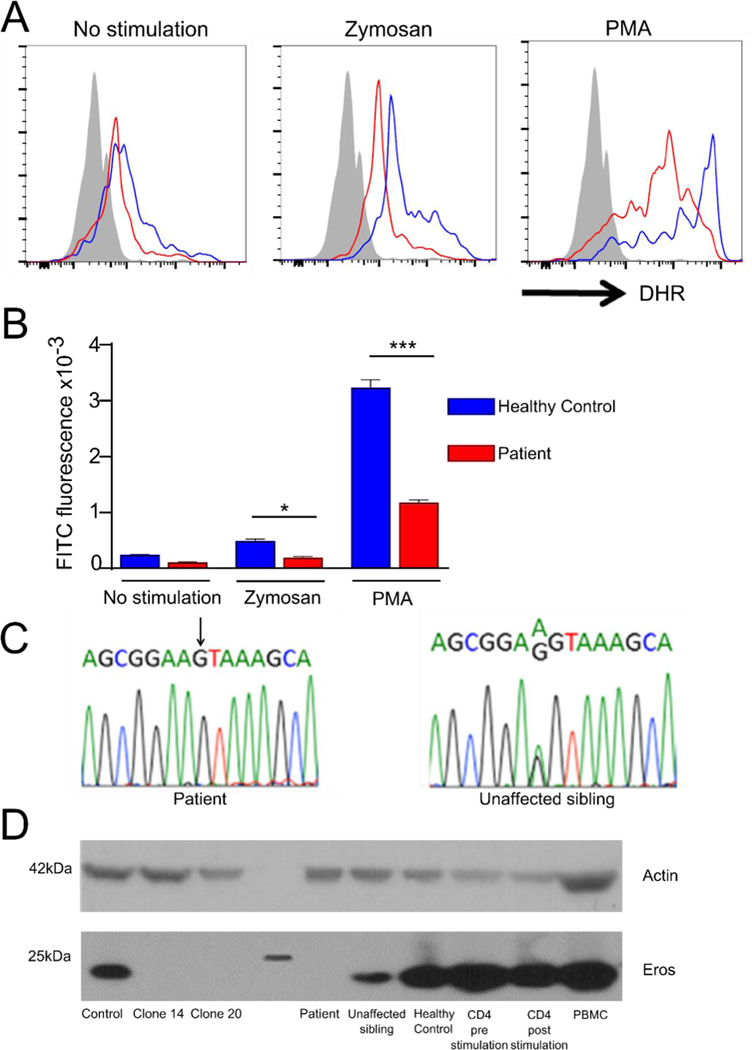 Figure 2: