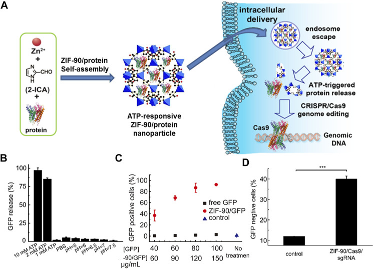 FIGURE 4