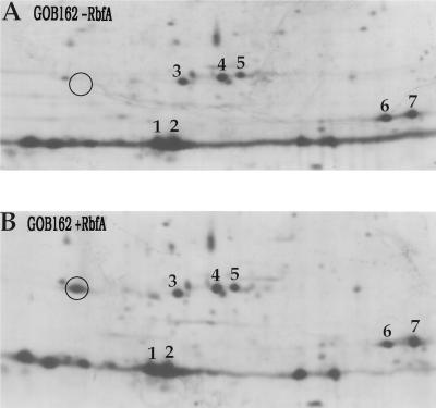 FIG. 6