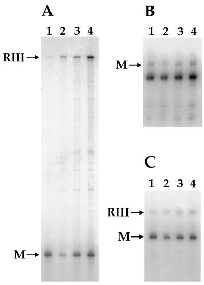 FIG. 8