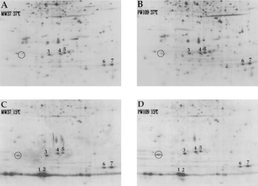 FIG. 7