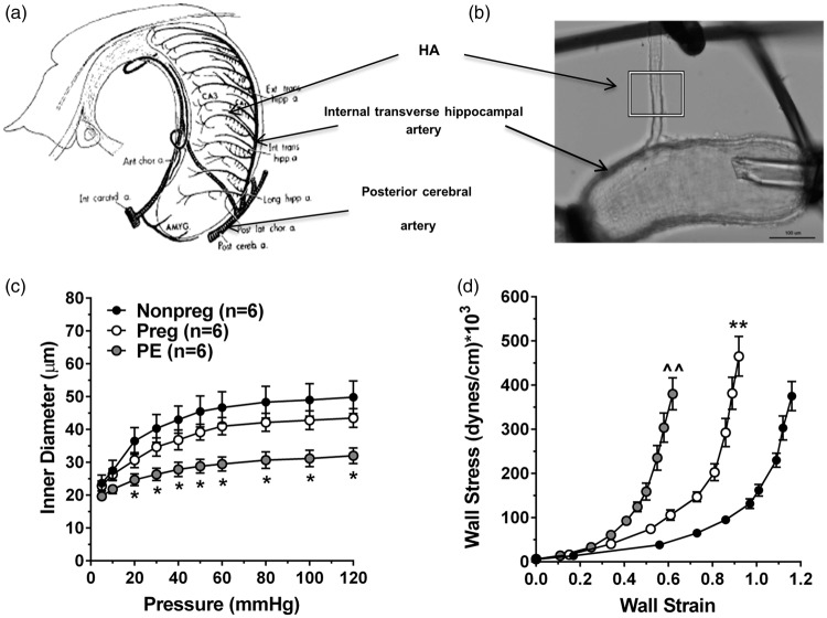 Figure 6.