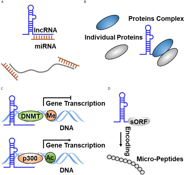 Figure 3