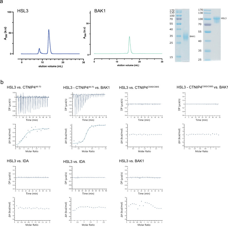 Figure 2—figure supplement 2.