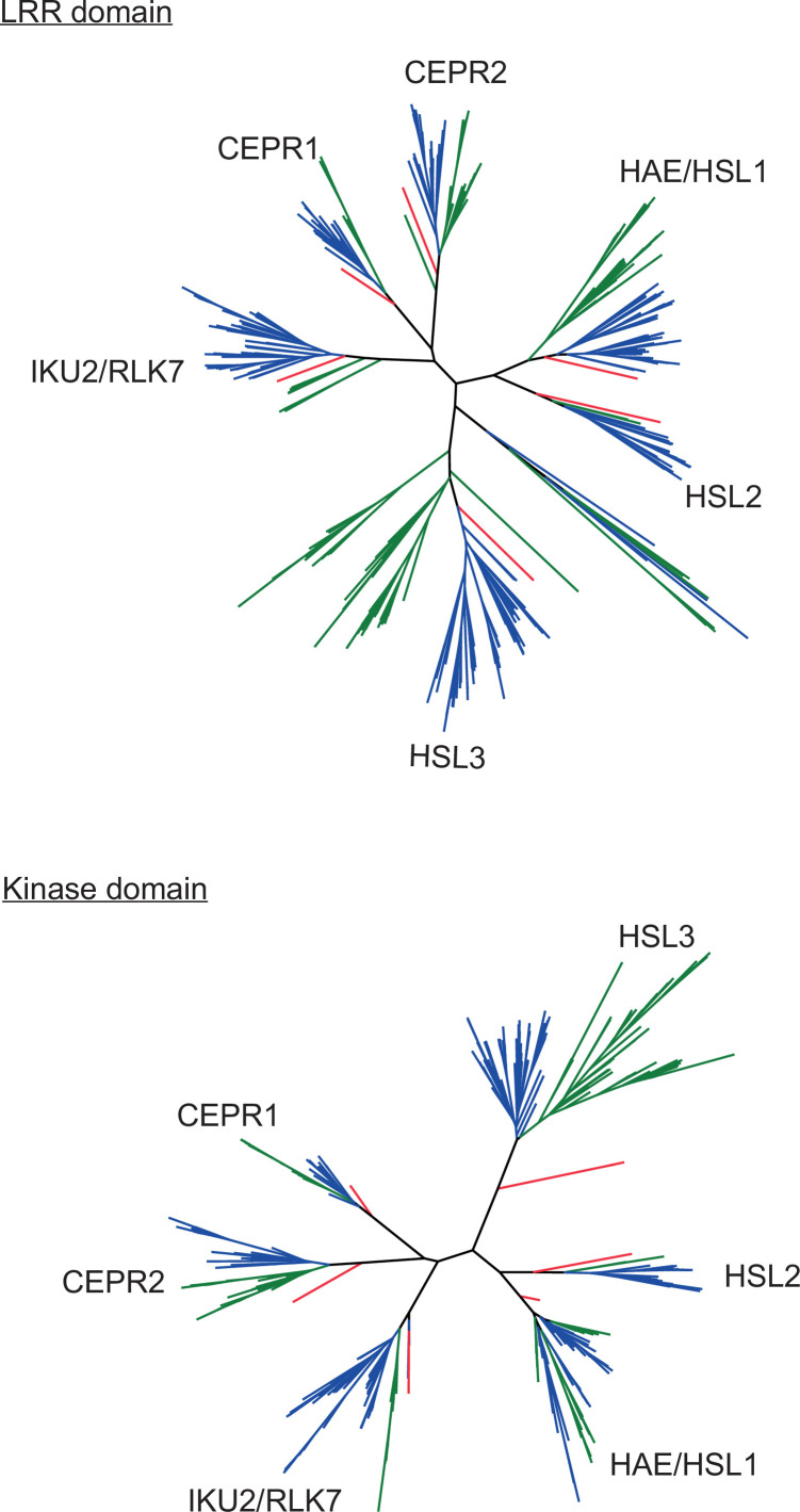 Figure 4—figure supplement 1.