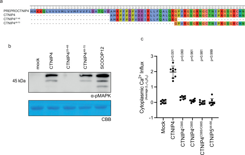 Figure 1—figure supplement 2.