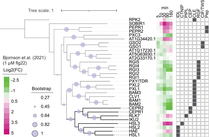 Figure 2—figure supplement 1.