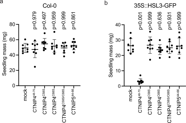 Figure 3—figure supplement 2.