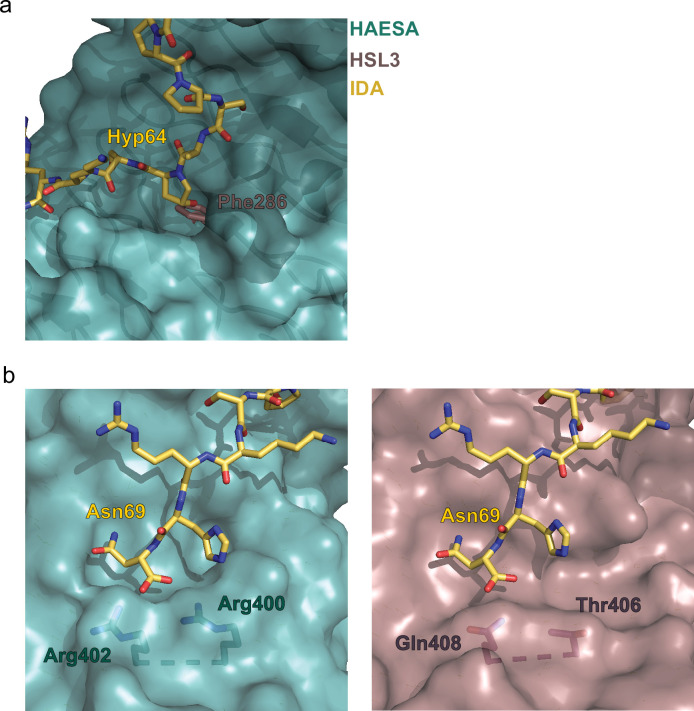 Figure 2—figure supplement 3.