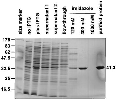 FIG. 5