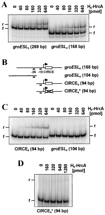 FIG. 6