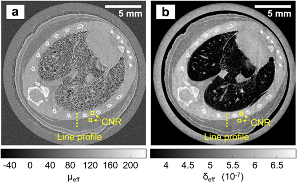 Fig. 8.