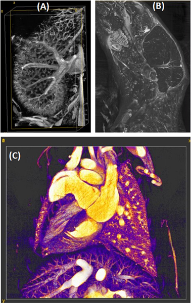 Fig. 3.