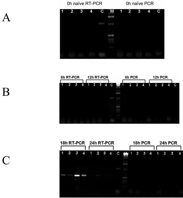 FIG. 4.