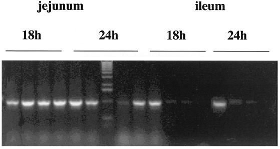 FIG. 7.