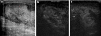Figure 5