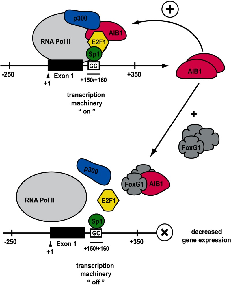 Figure 7.