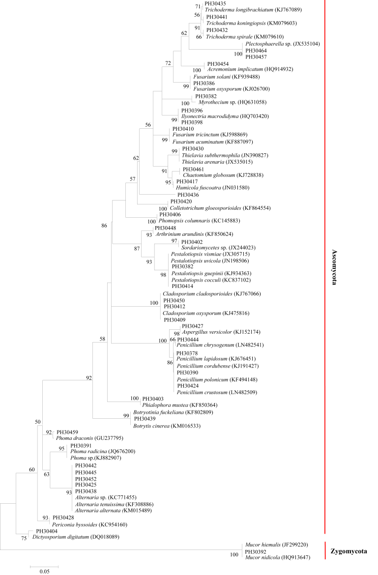 Fig. 2