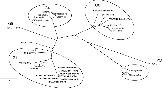 FIG. 1.