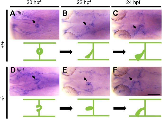 Fig. 8.