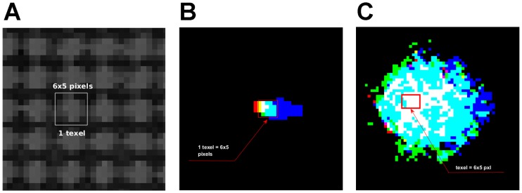 Fig 3