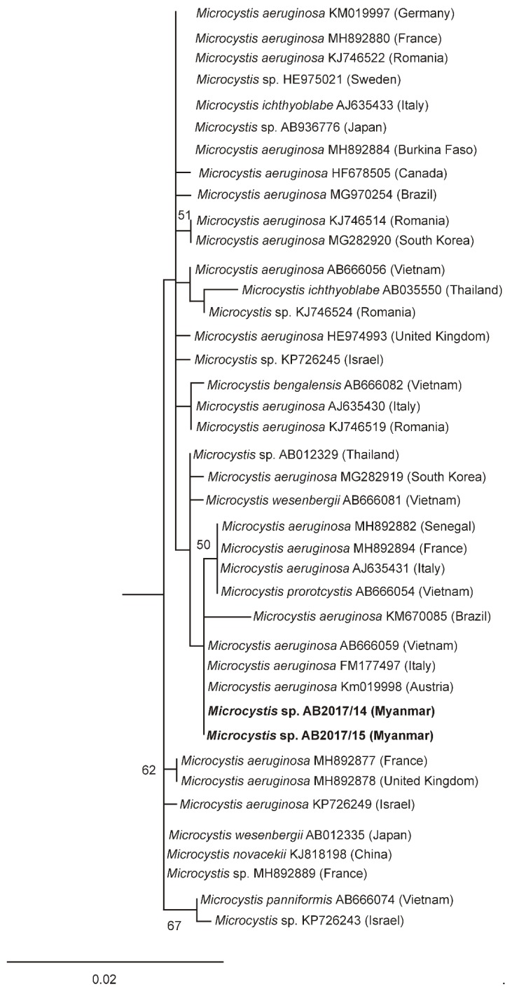 Figure 4