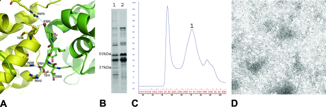 FIG. 4.