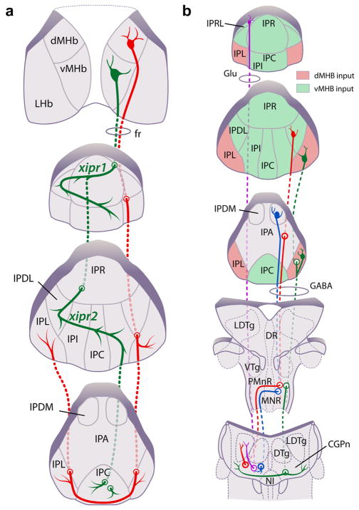 FIGURE 15