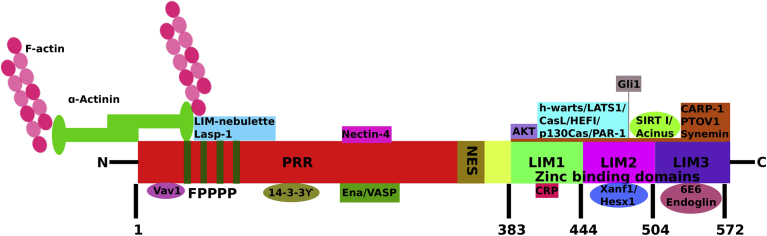 Fig. 1