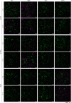 Extended Data Fig. 7