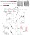 Extended Data Fig. 1