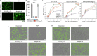 Extended Data Fig. 9