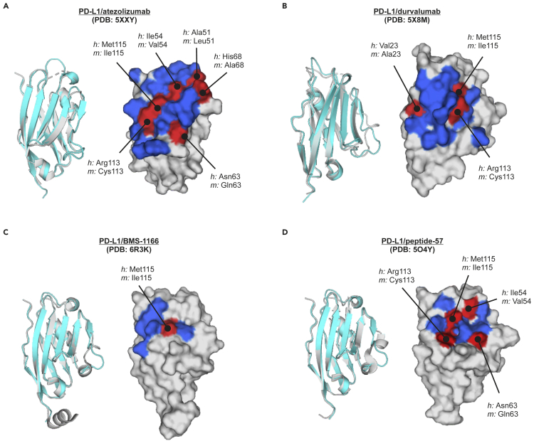 Figure 6