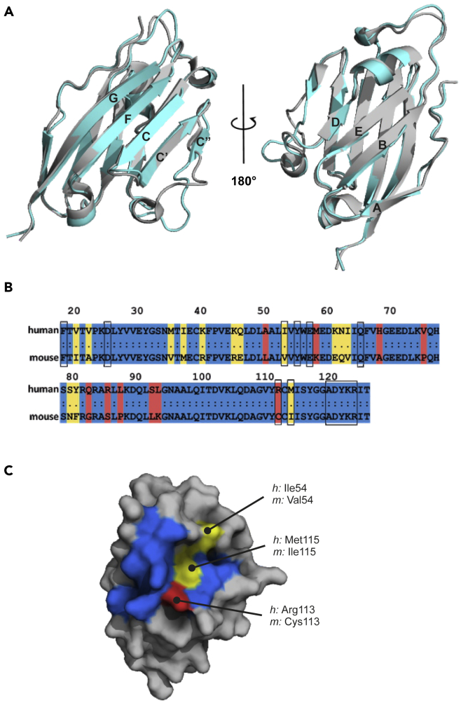 Figure 2