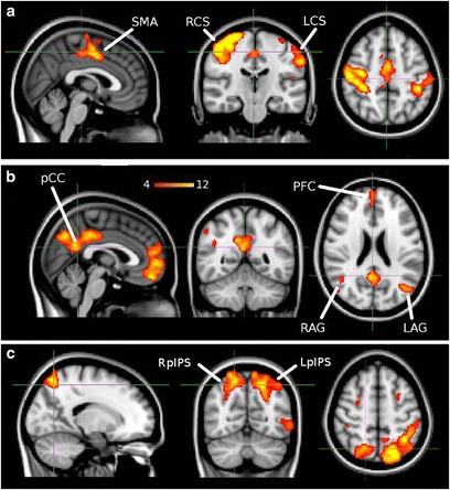 Fig. 8