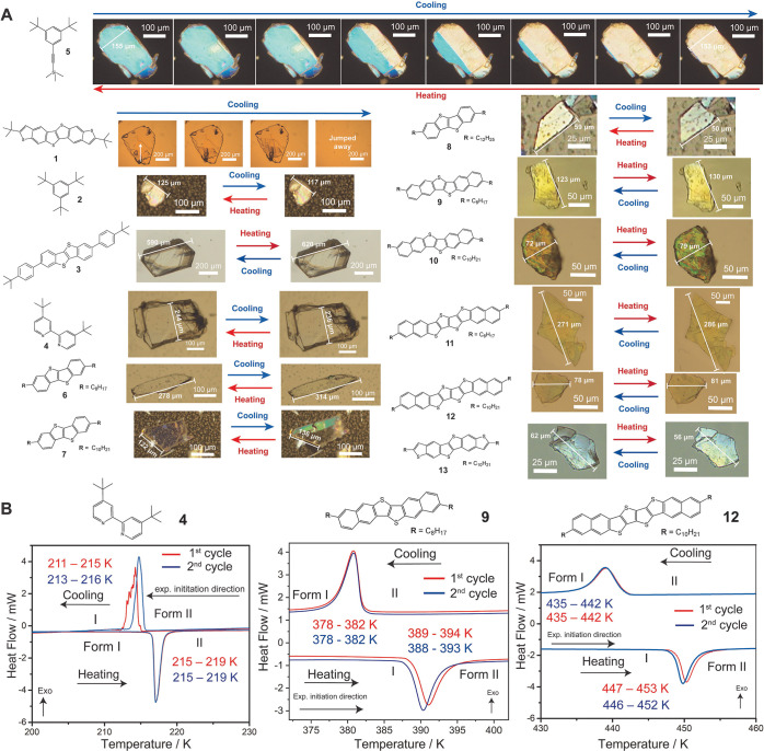 Toward On-demand Polymorphic Transitions Of Organic Crystals Via Side 