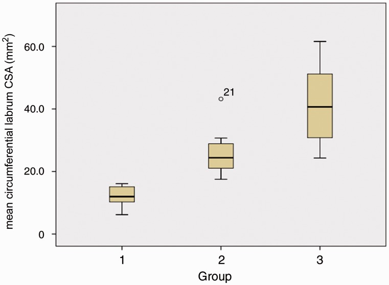 Fig. 4.