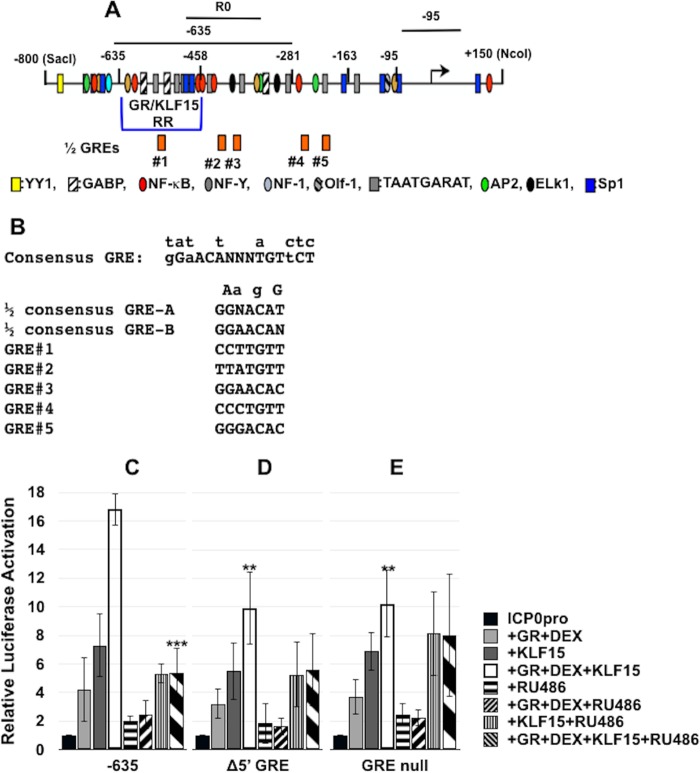 FIG 4