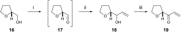 Scheme 3