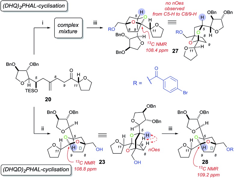 Scheme 6