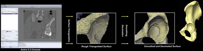 Fig. 9