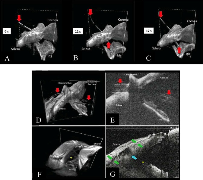 Fig. 7