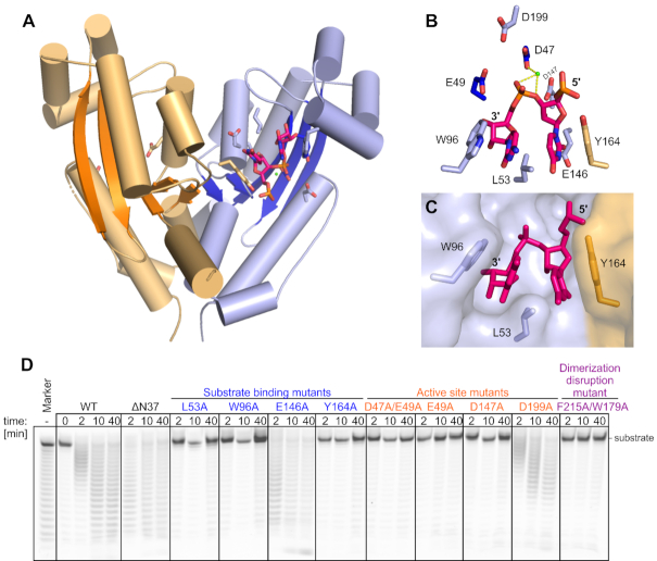 Figure 6.