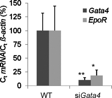 Fig 4