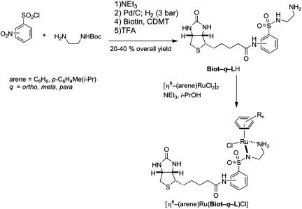 Scheme 2.