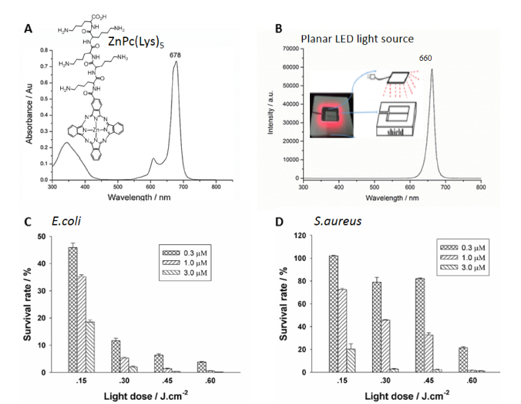 Fig. 1